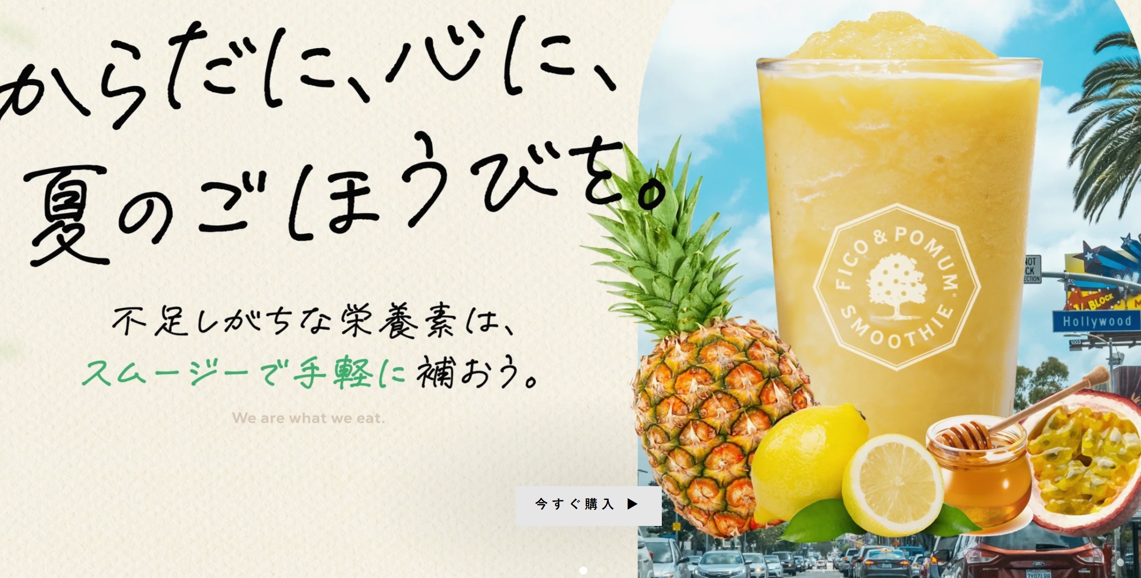 F&P Smoothie Life(F&Pスムージーキット)