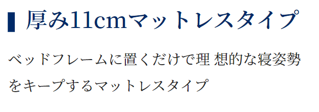 １１ｃｍタイプ