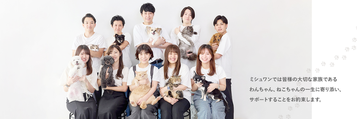 ミシュワン（MISHONE）