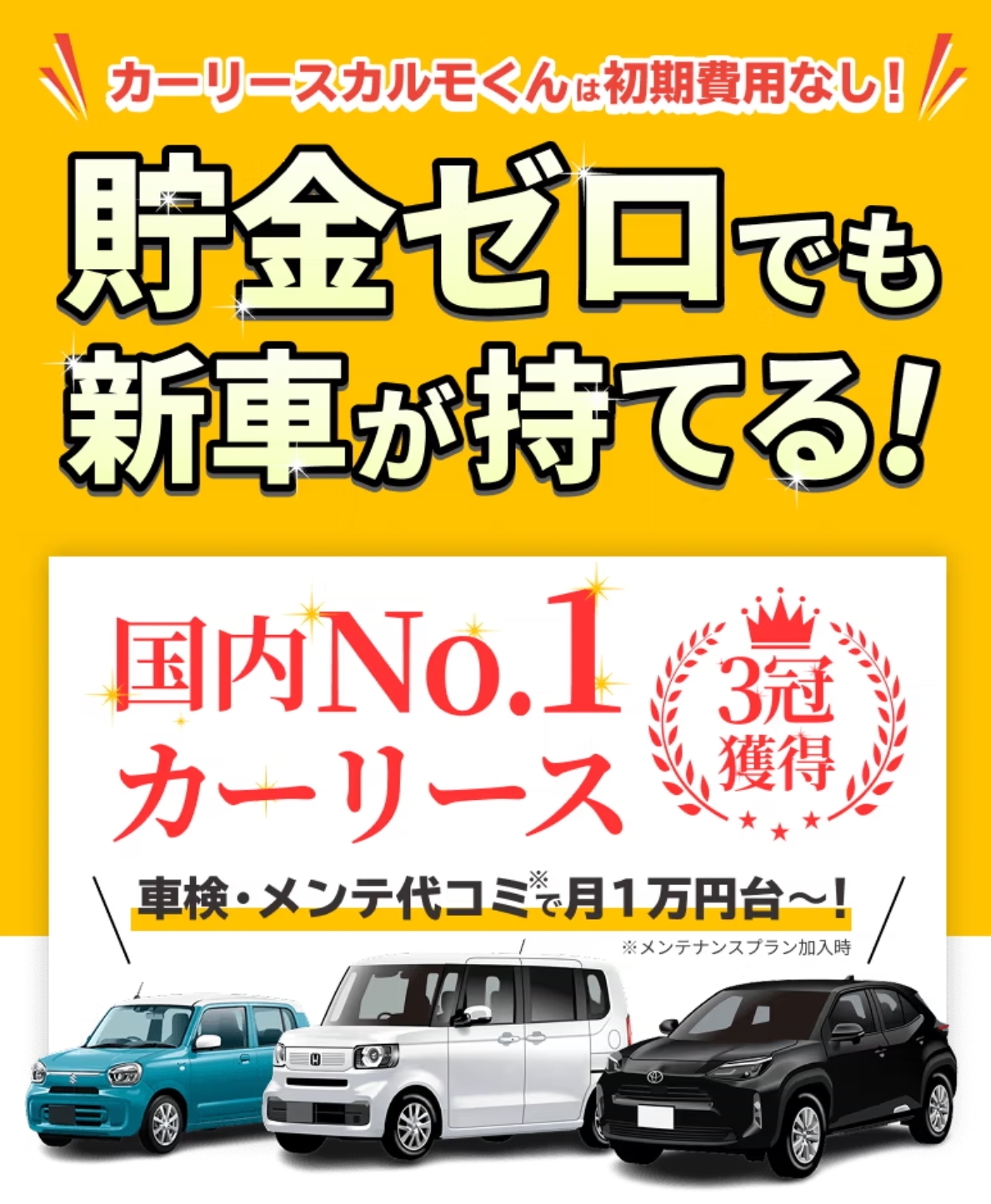 定額カルモくん