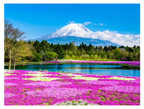山梨県 富士本栖湖リゾート