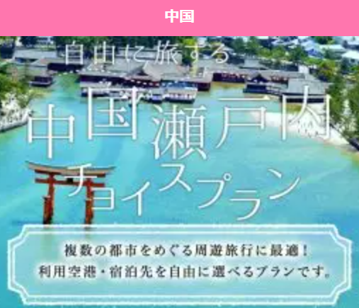 中国エリアチョイスプラン