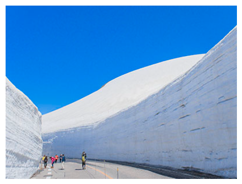 富山県 雪の大谷