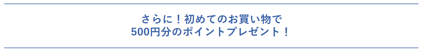 ポイントプレゼント